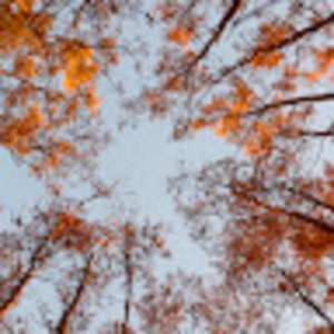 Meet your Posher, Creative